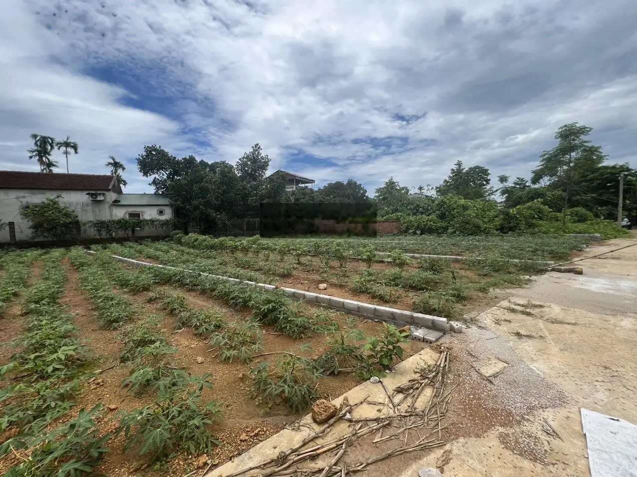 Chính chủ bán đất phân lô trục chính đường 8m thôn Đồi Sen