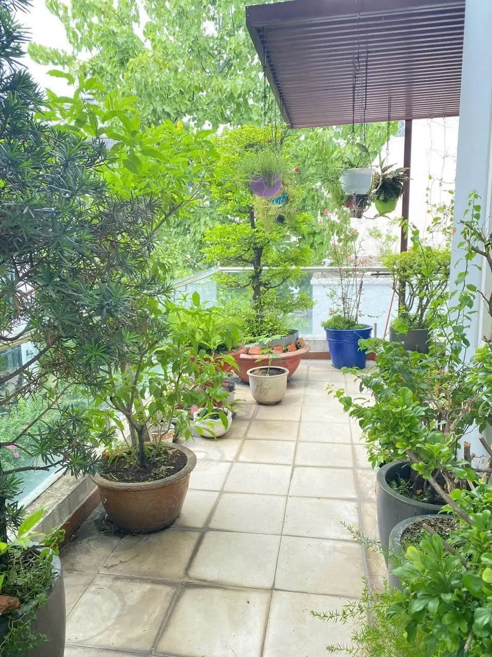 Bán nhà biệt thự giá tốt, nằm ngay trung tâm Sài Gòn Quận 3