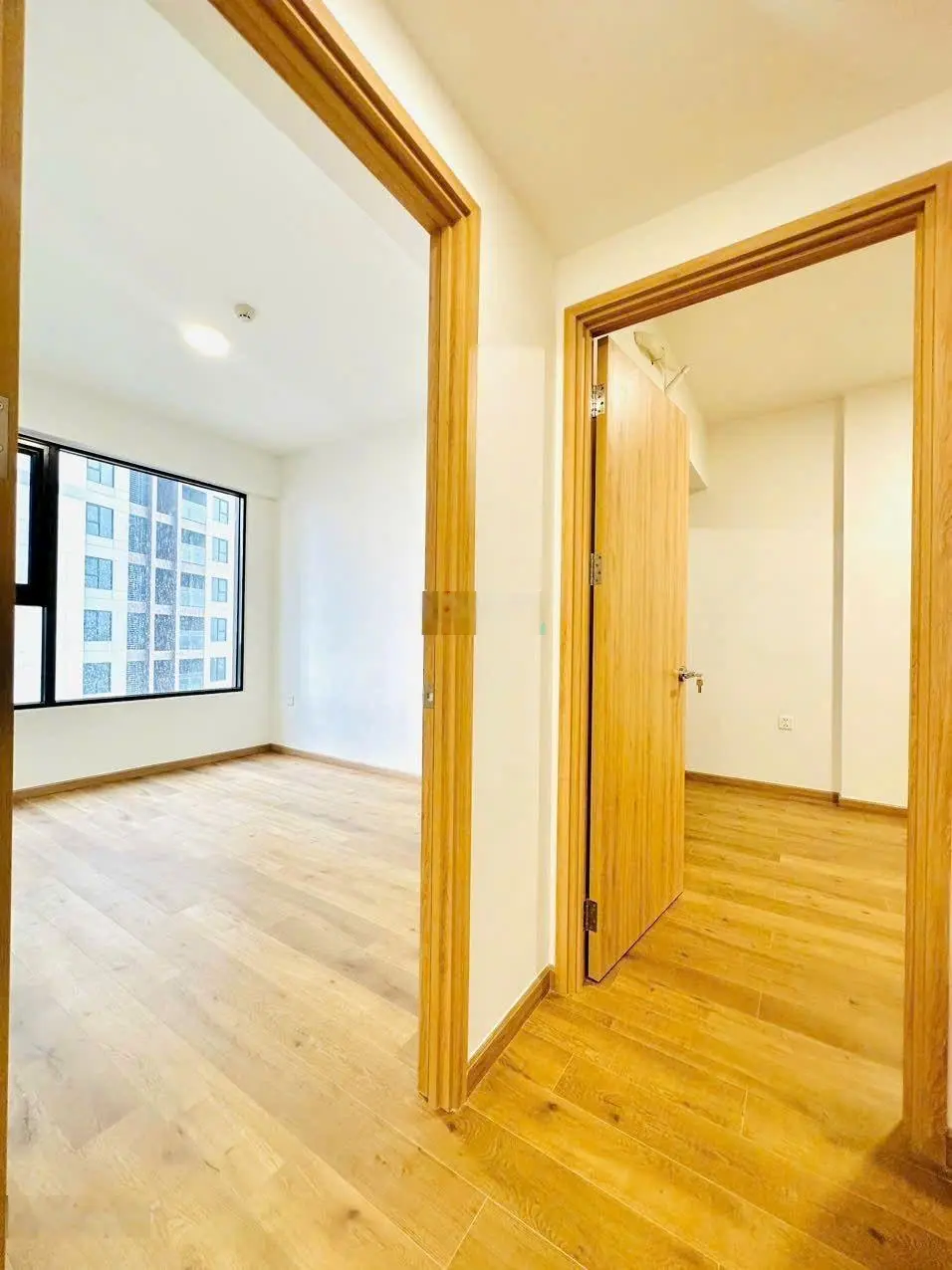 Giỏ hàng trực tiếp chủ đầu tư Akari City Bình Tân Nam Long, 56m2, 62m2 chỉ từ 2tỷ550, 3tỷ160