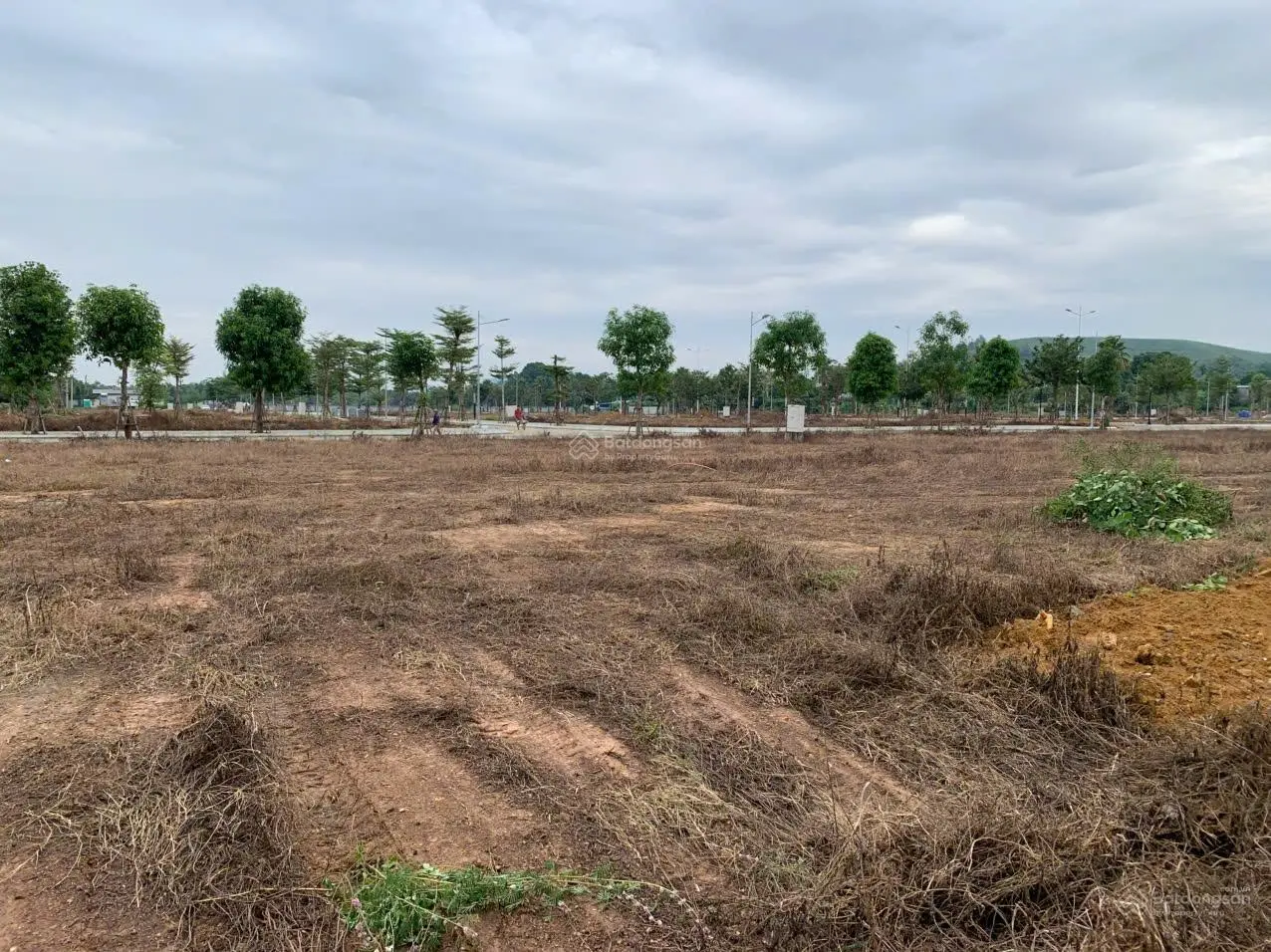 Bán đất đấu giá gần UBND huyện Lương Sơn
