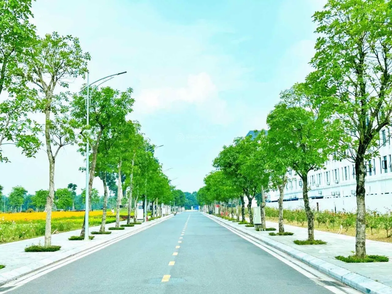 Chính chủ cần bán Lk16 dự án Danko City Thái Nguyên (sổ đỏ trao tay)