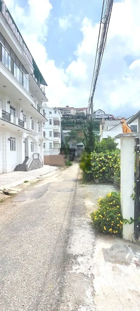🏠816M LÔ ĐẤT KHE SANH P10 ĐÀ LẠT 🌲VIEW RỪNG THÔNG