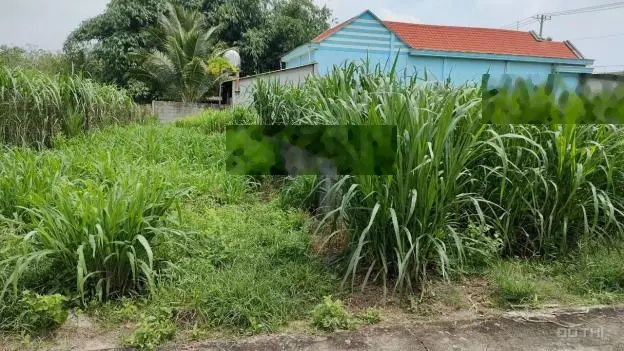 Đất Củ Chi, lô đất 1 sẹc ngắn đường Đỗ Đăng Tuyển, diện tích 118m, full thổ cư, xã An Nhơn Tây