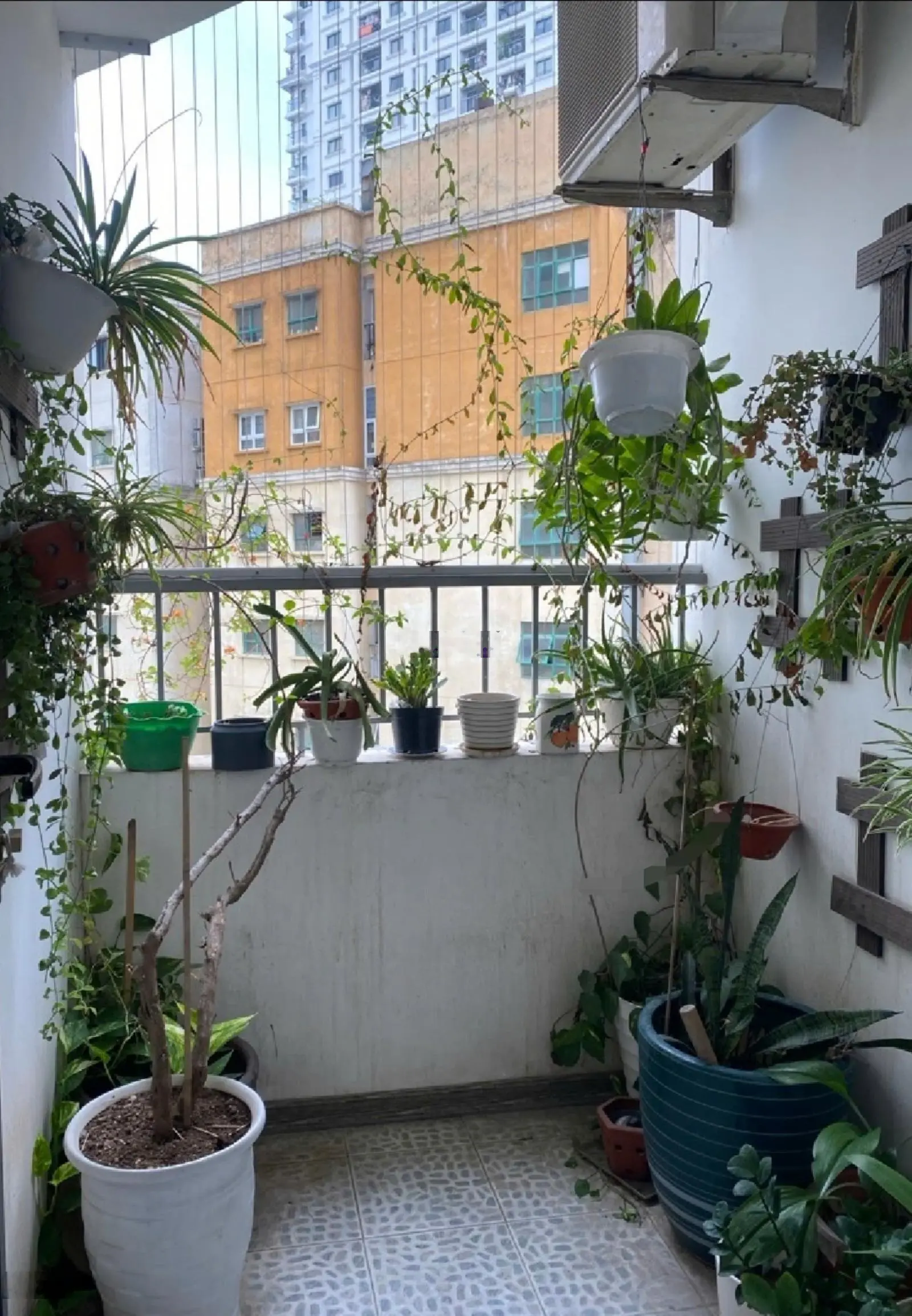 Bán tòa A chung cư An Sinh , 3 phòng ngủ, diện tích 122m2, tặng nội thất đẹp, ở ngay , giá 5,55 tỷ