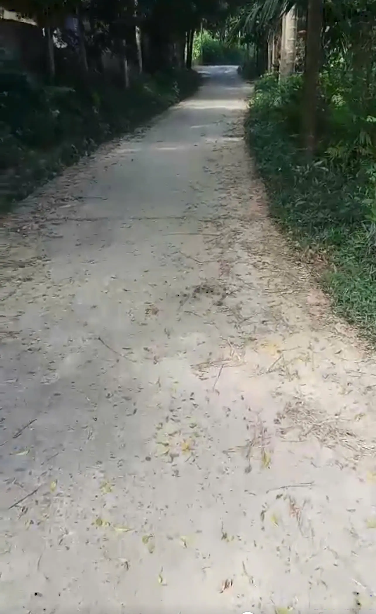Bán đất Yên Mông, Hoà Bình view cánh đồng cao thoáng giá đầu tư
