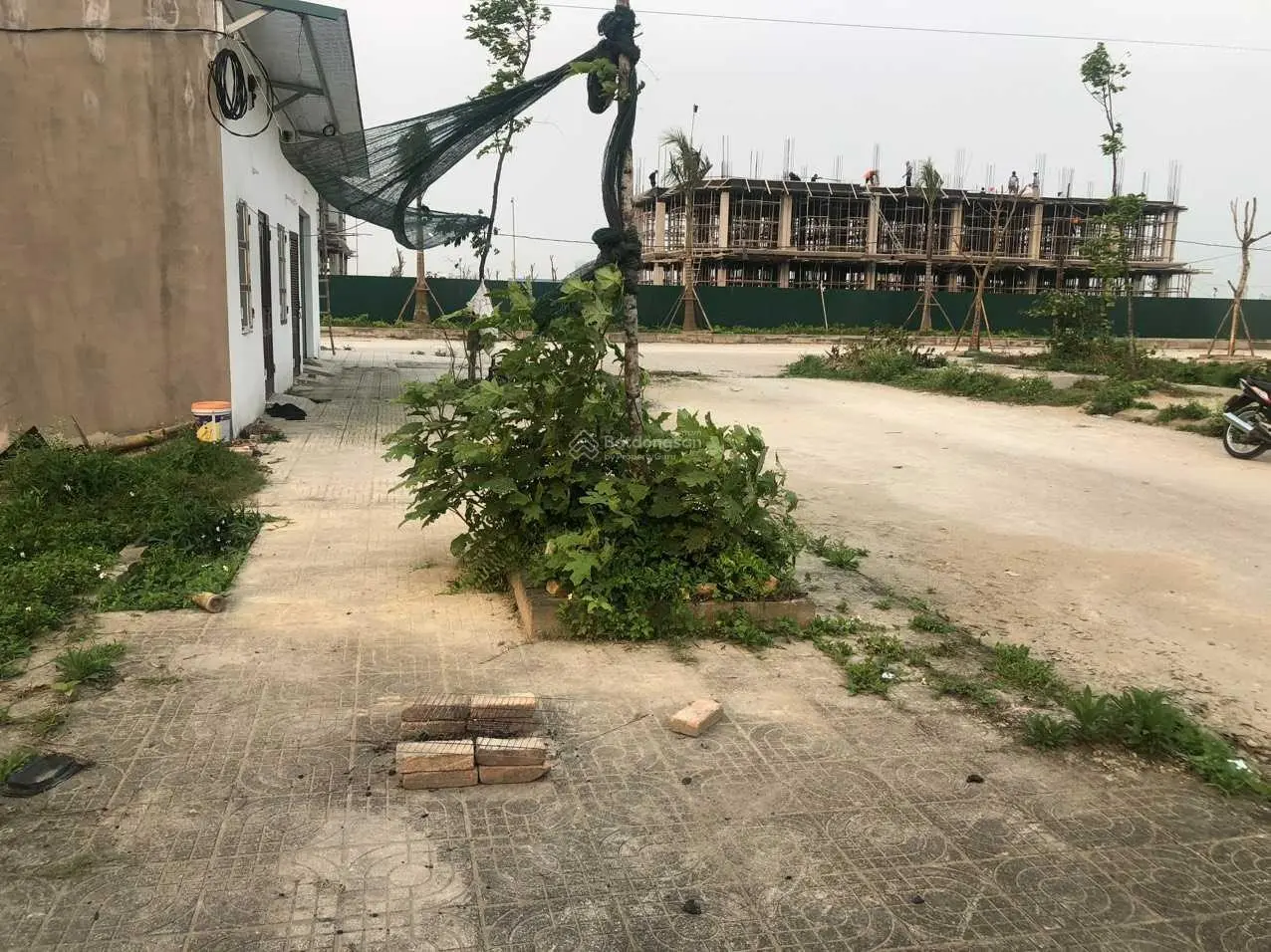 Bán lô đất Quảng Thành - giáp ngay với Aeon Thanh Hóa - S 85m2 - sổ đỏ