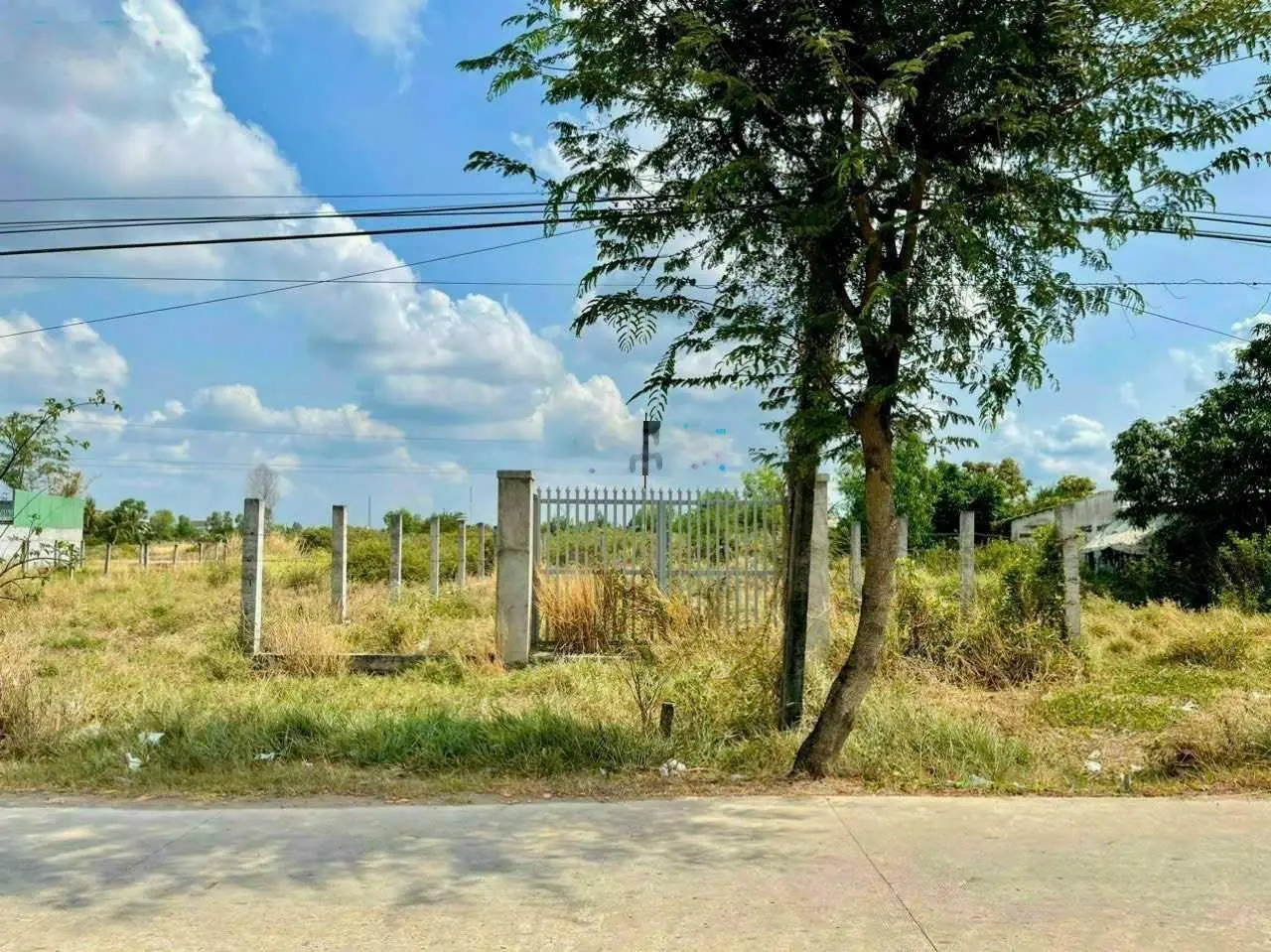 Cần bán 500m2 full thổ cư, mặt tiền đường Nguyễn Thị Bài, xã Long An, SHR, giá rẻ bán nhanh