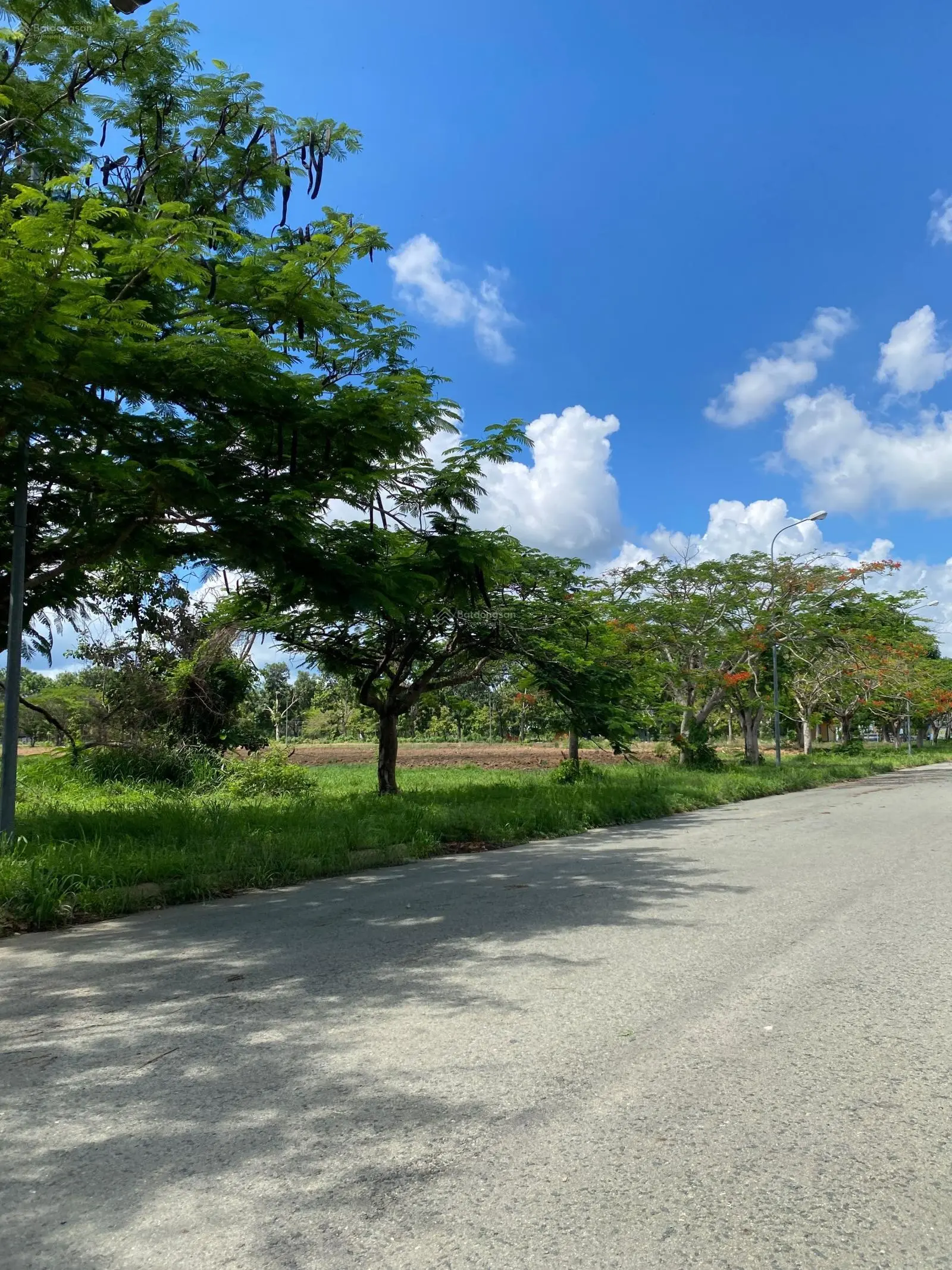 Cần bán nhanh lô đất mặt đường 35m(D1)125m2 trong dự án HUD, gần ngã 4 Lê Hồng Phong(53m) & D1(35m)