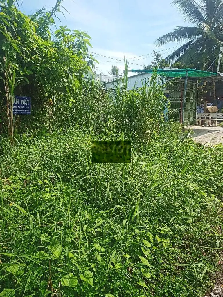 Bán gấp đất mặt tiền 1000 hậu Giang