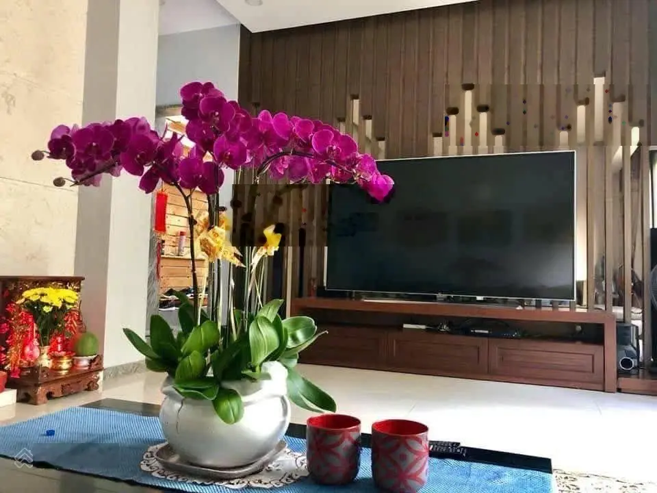 Nhà biệt thự 3PN, 3WC tại Đường N9, Thống Nhất, Biên Hòa, Đồng Nai, giá ưu đãi 19 tỷ VND