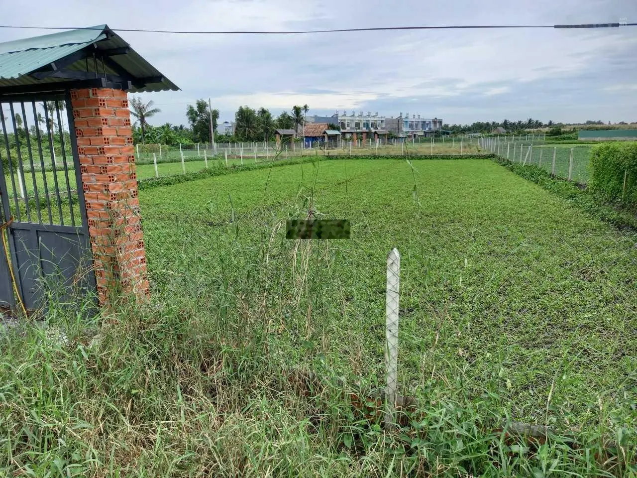 Bán đất mặt tiền rạch cây xanh Bình Mỹ Củ Chi 1000m2(22x47m) MT đường 10m nhà nước full hồng