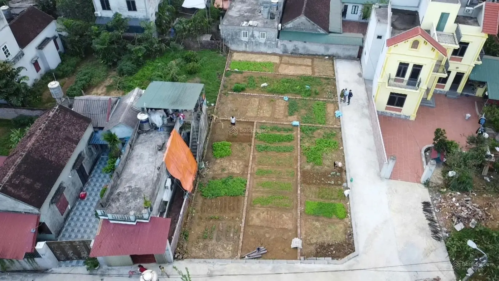 Mua đất nền Hòa Lạc chỉ từ hơn tỷ sở hữu ngay 2 sổ đỏ diện tích gần 200m2, sang tên ngay