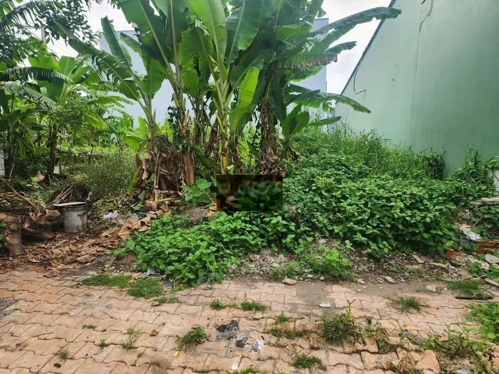 Bán đất Đường Nguyễn Công Trứ, Chơn Thành. Giá 520/119m2. Sổ Riêng
