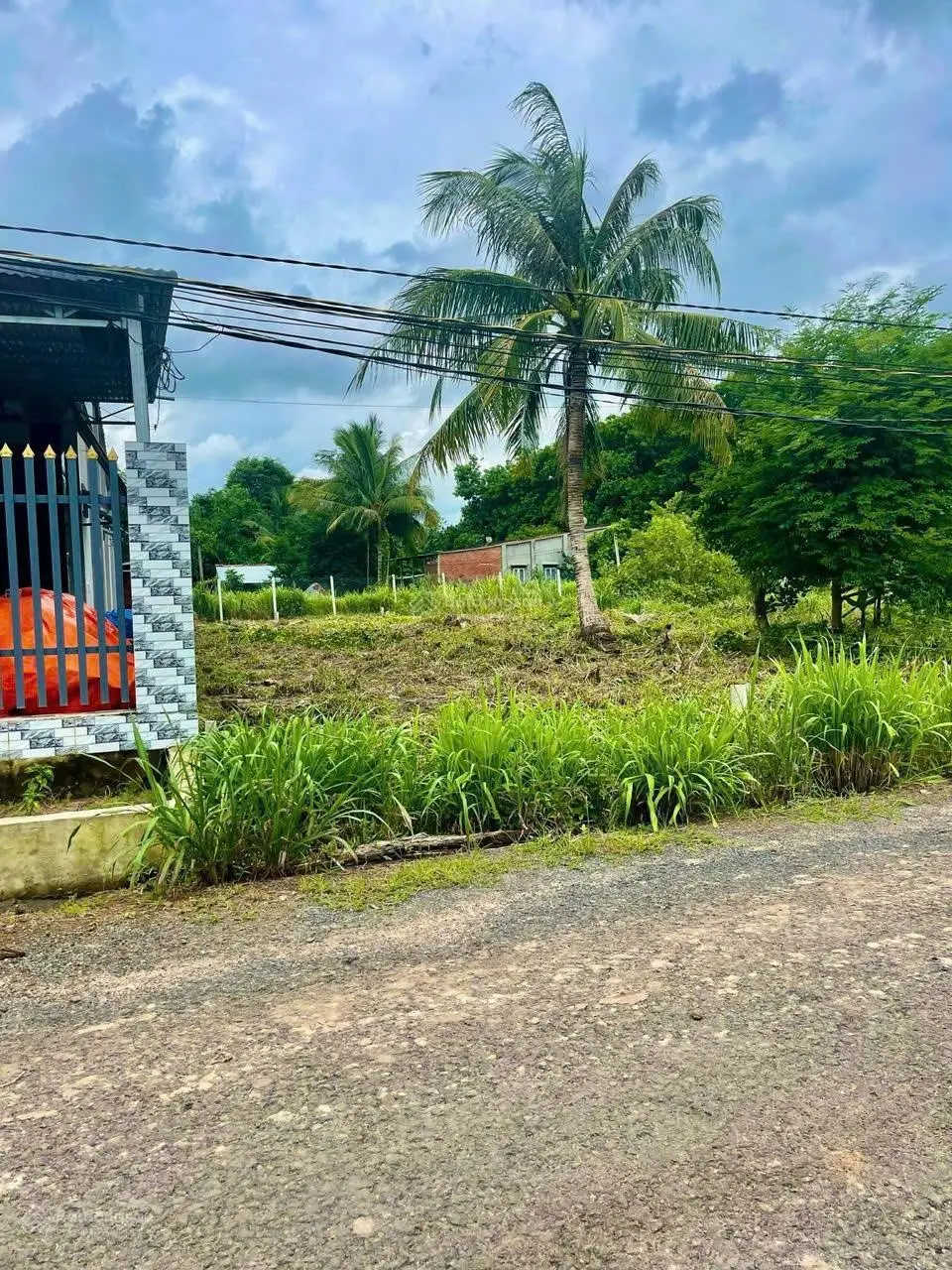 Kẹt Tiền Cắt Lổ Lô Đất Gần KCN Củ Chi QL22 Vào 1km Dân Đông Hiện Hữu Sổ Sẵn Giá 1ty350 Sổ Riêng