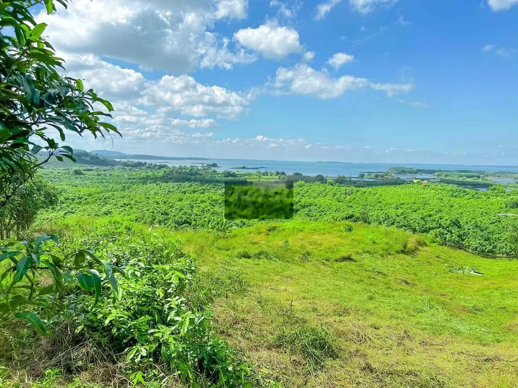 Bán đất 6.563m2 cây lâu năm mặt tiền đường bê tông 82m view hồ Trị An