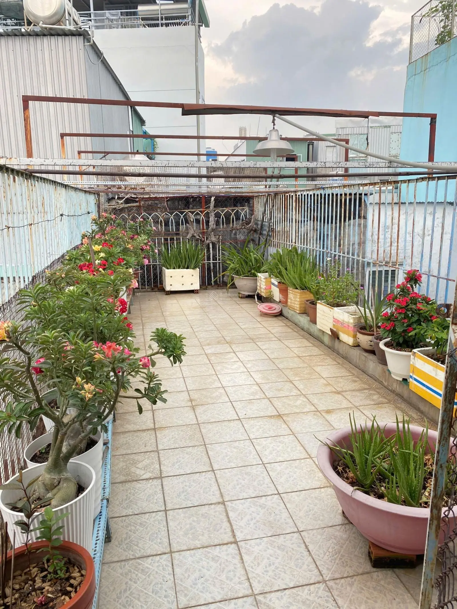 Bán nhà Dương Bá Trạc, cực hiếm, 45m2 (DTTT 64m2) sổ riêng 1 đời chủ, mà chỉ nhỉnh 3 tỷ