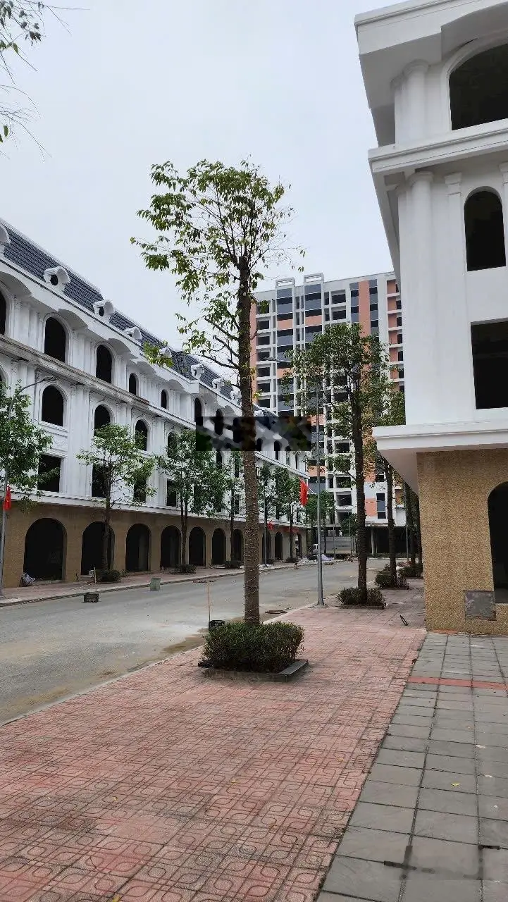 Bán shophouse, Đường 38, Thị trấn Hồ, Thuận Thành, Bắc Ninh, 5 tỷ, 6 m2