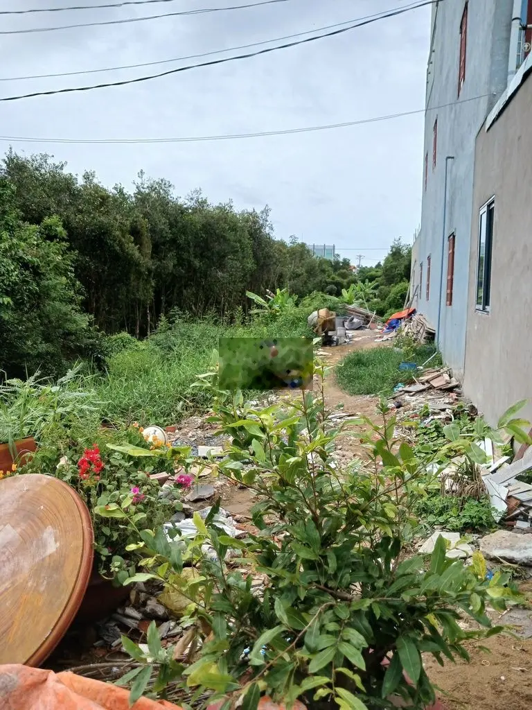 Bán đất nền mặt tiền Nguyễn Thị Định, thị trấn Thạnh Hóa, Long An