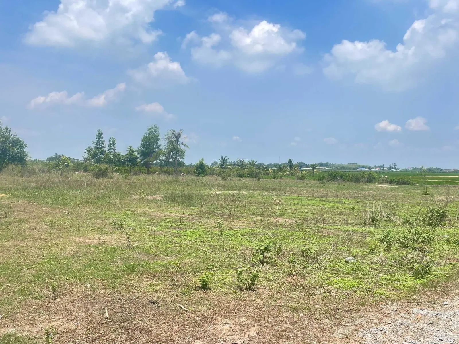 Đất đẹp Gò Dầu, Tây Ninh 5x40m, full thổ. Sổ hồng riêng. Giá chỉ 550 triệu