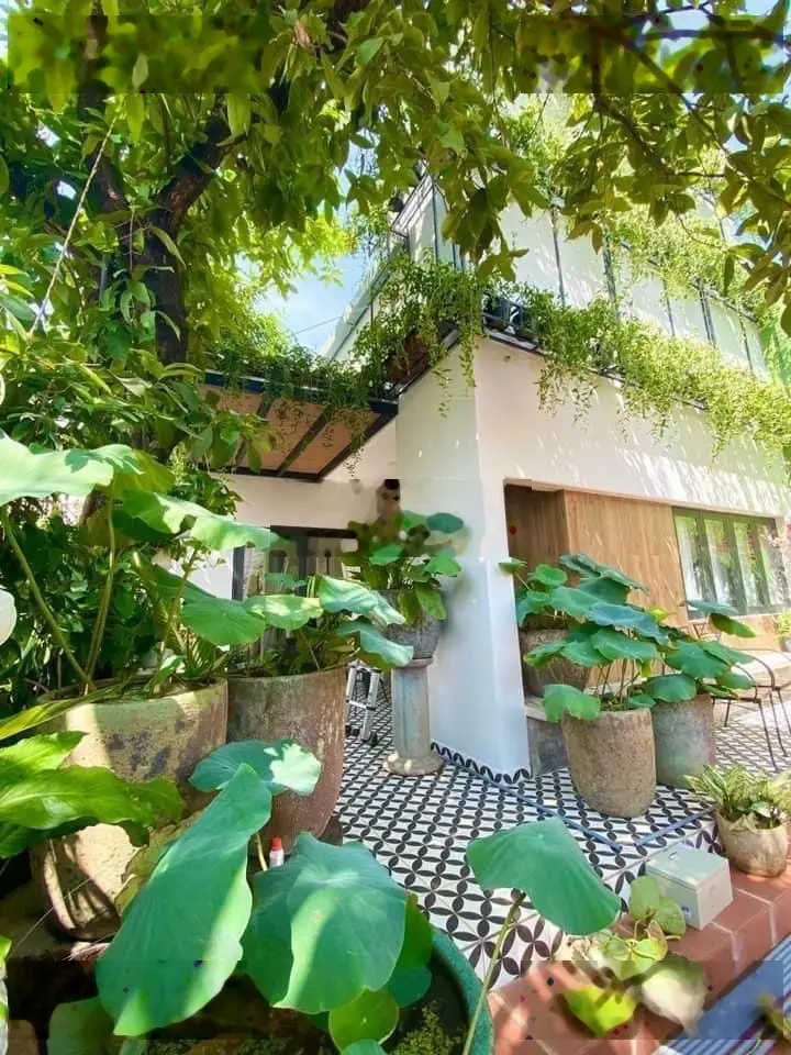 Bán biệt thự sân vườn kiểu Châu Âu - ngang 8m 200m2 đường 138, P. Tân Phú, TP. Thủ Đức (Q9)