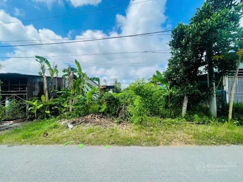 Bán 5 nền 125m2/SHR. MTĐ Bùi Thị Lùng, Thới Tam Thôn, Hóc Môn