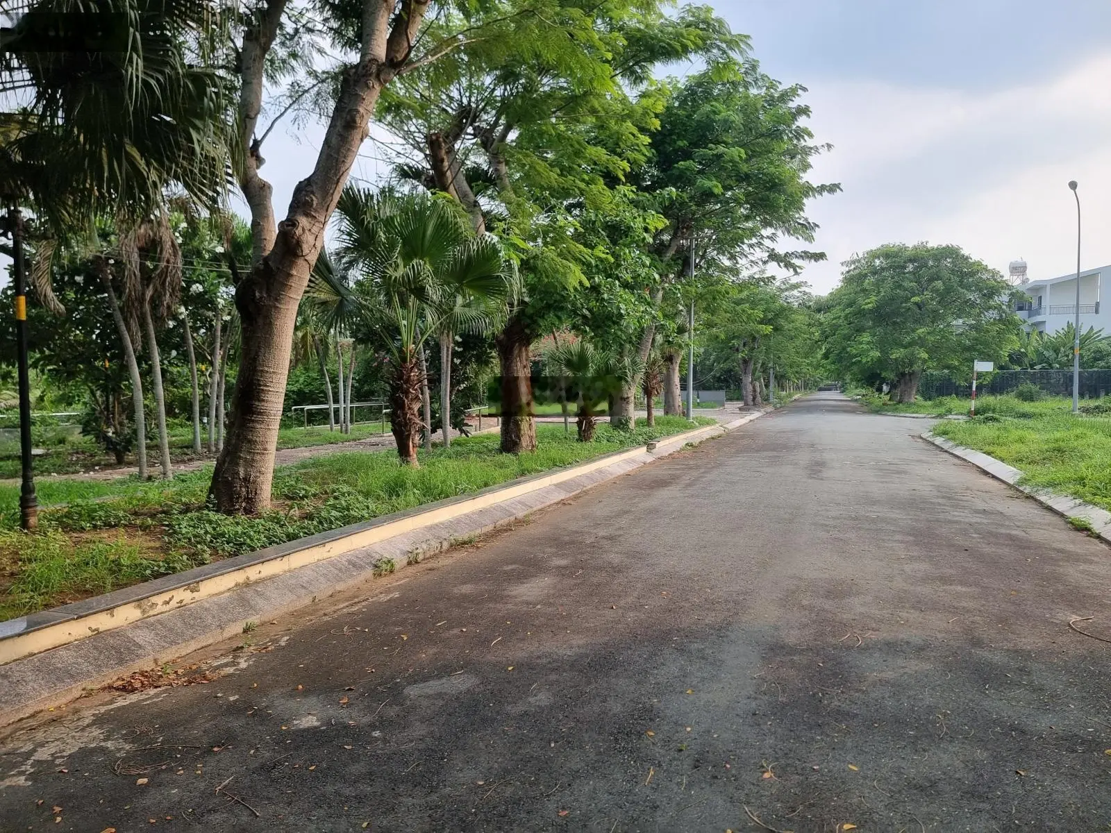 Đất lô góc 6x24m vạt góc 131m mặt tiền đường Tam Đa 30m tại BCR Tam Đa, Trường Thạnh Q9 giá 55tr/m2