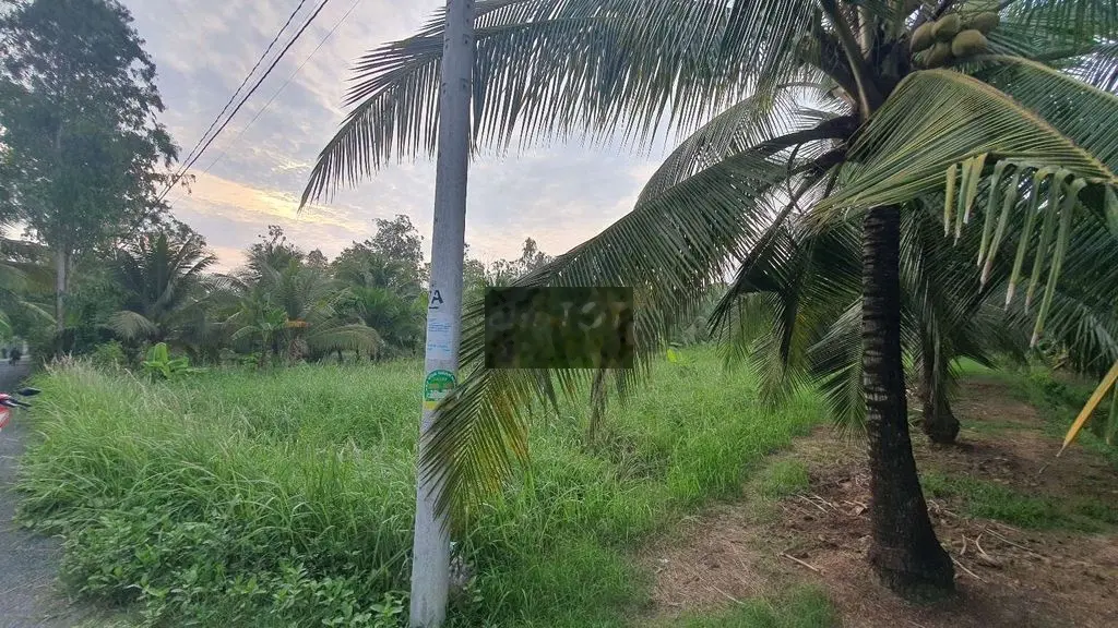 Bán Đất giá rẻ 19x65m MT Phan Tấn Nhã Thị Trấn Chợ Gạo - 1.6tr/m