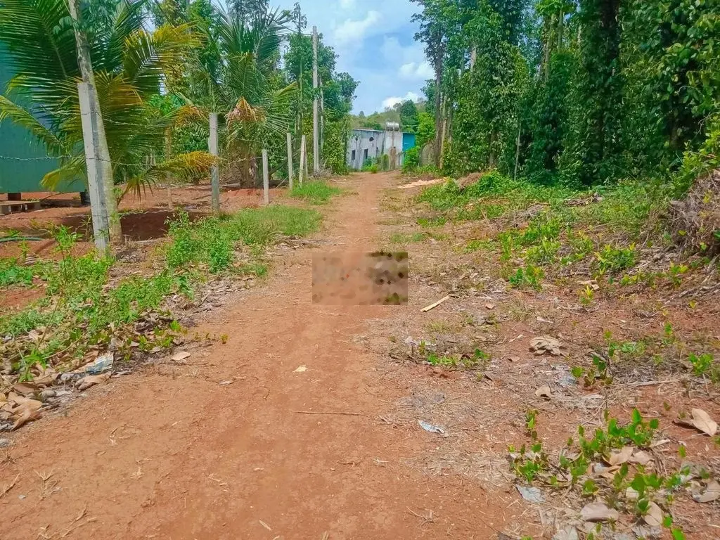 Ngộp, cần tiền bán gấp mảnh vườn 3.278m2 đất thổ cư 2 mặt tiền đường