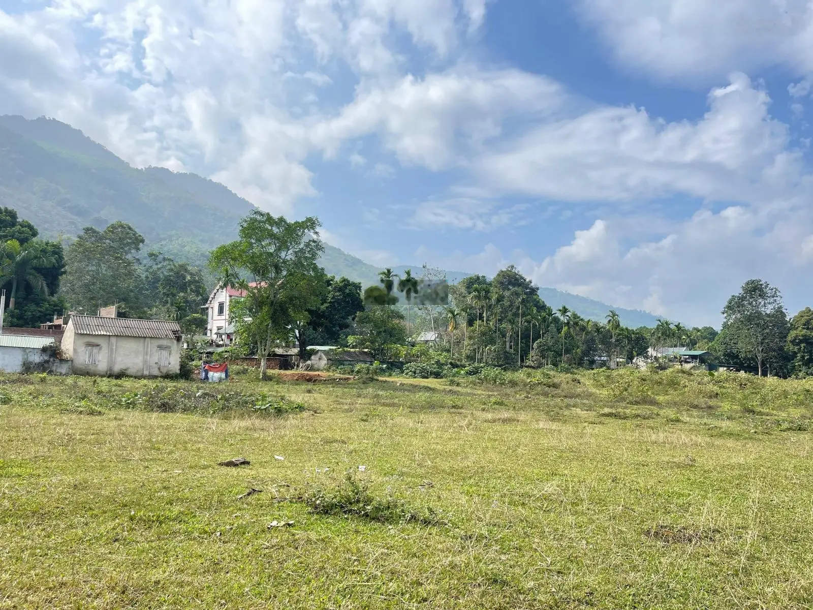 Chuyển nhượng 5336m2 view đẹp thoáng đãng giá tốt tại Cư Yên Lương Sơn Hoà Bình