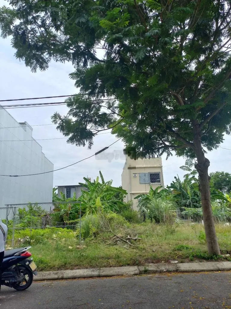 🔥R.Ẻ nhất KDC Bá Tùng, đg 7m5 sạch đẹp, chỉ 2ty4, ko tìm ra lô thứ 2