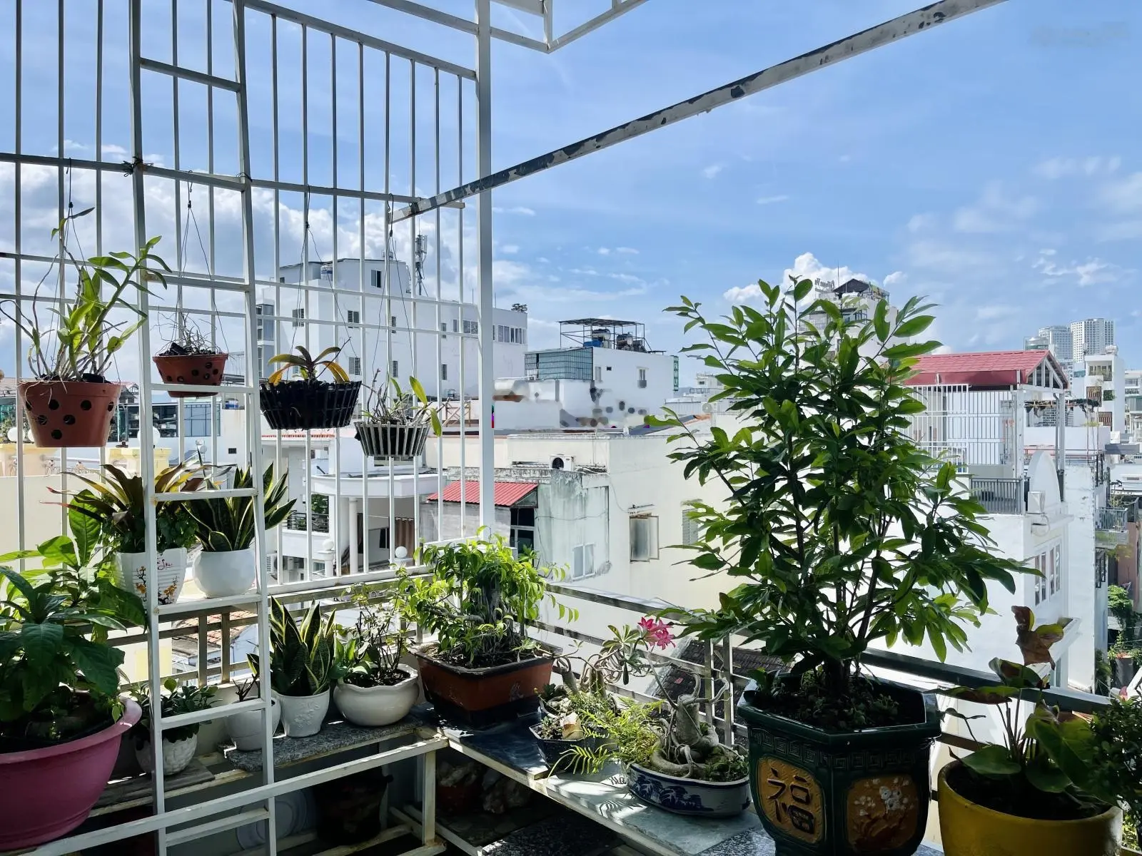 Cần tiền bán nhanh nhà khu bàn cờ Nha Trang - chỉ hơn 3 tỷ