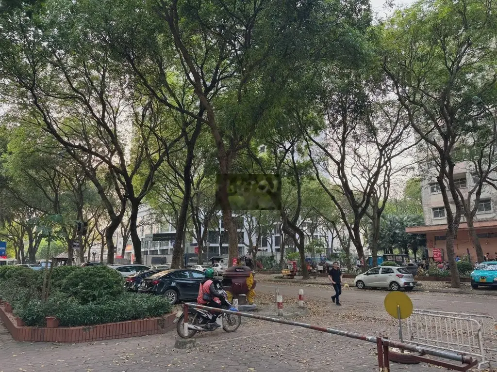 Chính chủ tôi bán đất MẶT VƯỜN HOA TRẦN QUANG DIỆU 2 mặt ngõ trước sau