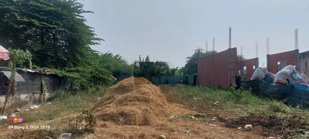 Bán đất mặt tiền Đoàn Nguyễn Tuấn, xã Hưng Long, Bình Chánh