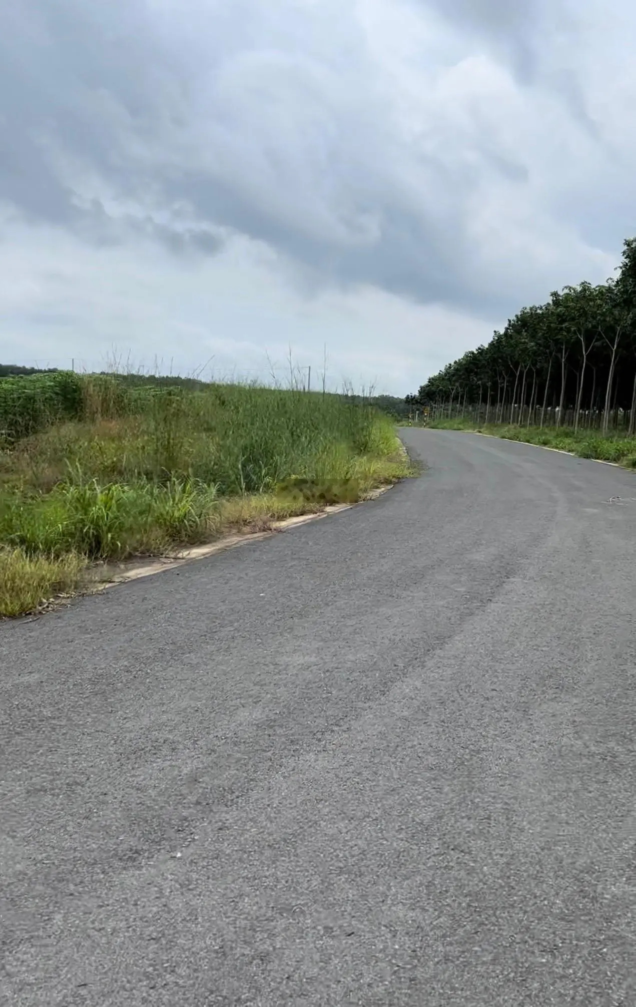 Bán đất đường Số 12 Nha Bích, 4000m2, lô góc 2 mặt đường nhựa 8m