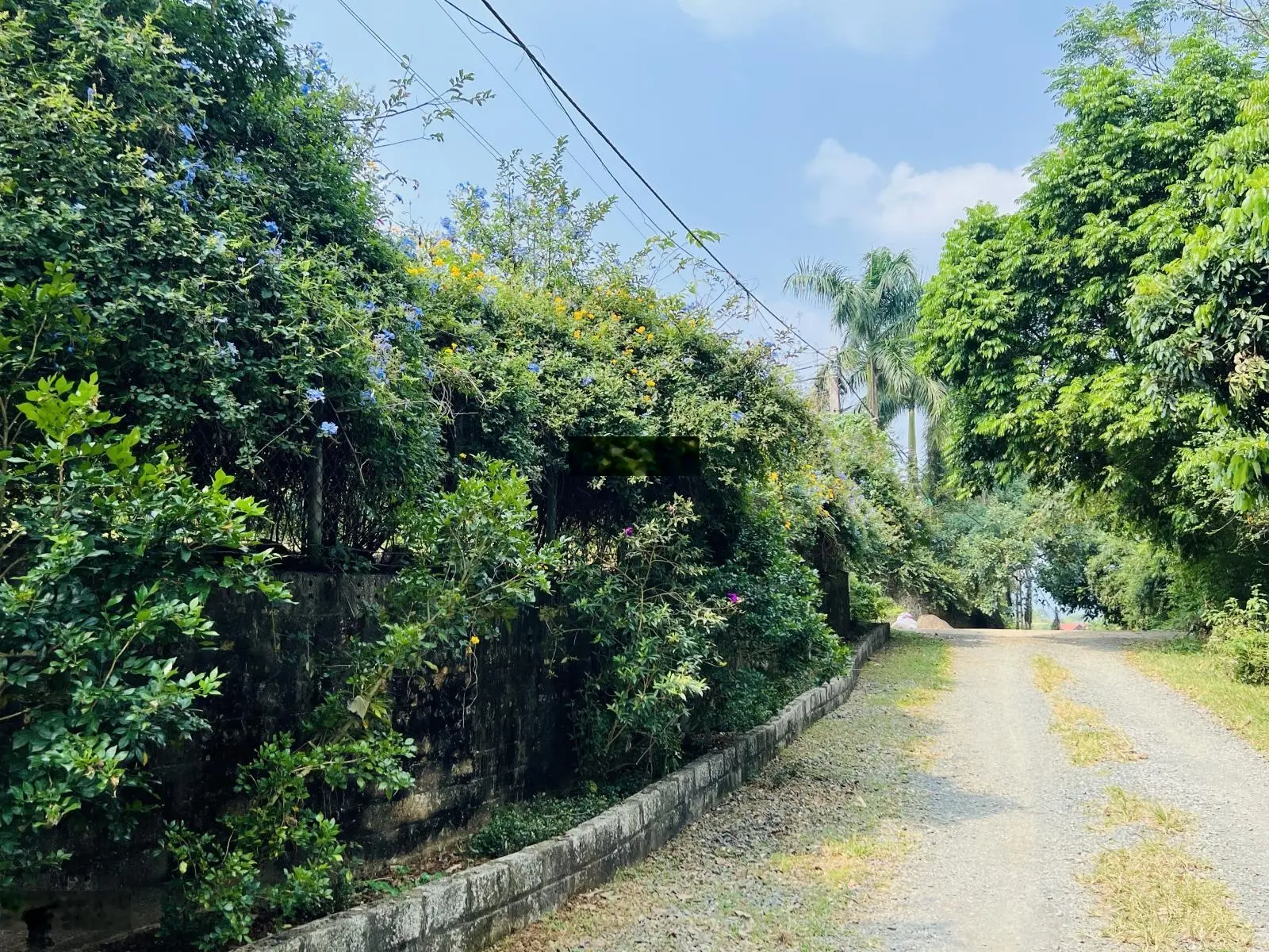 Bán 938m2 tại khu Lũng Xuân Tiến Xuân Thạch Thất Hà Nội