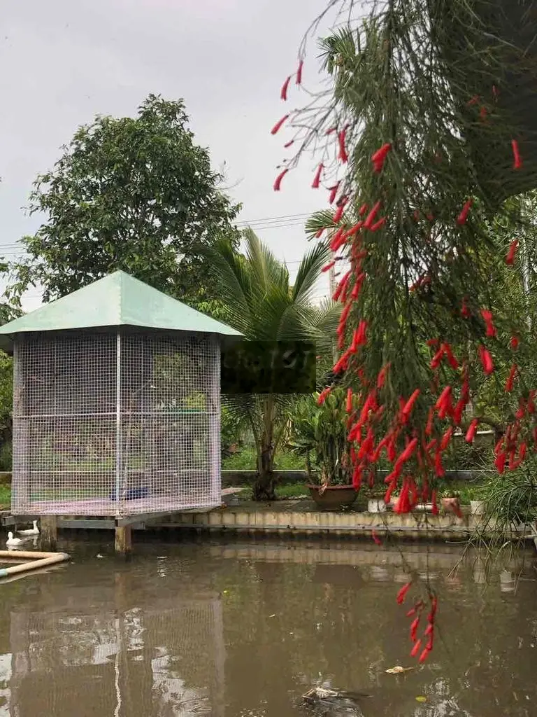 Biệt thự Bình Dương cực đẹp, gia đình cần bán!