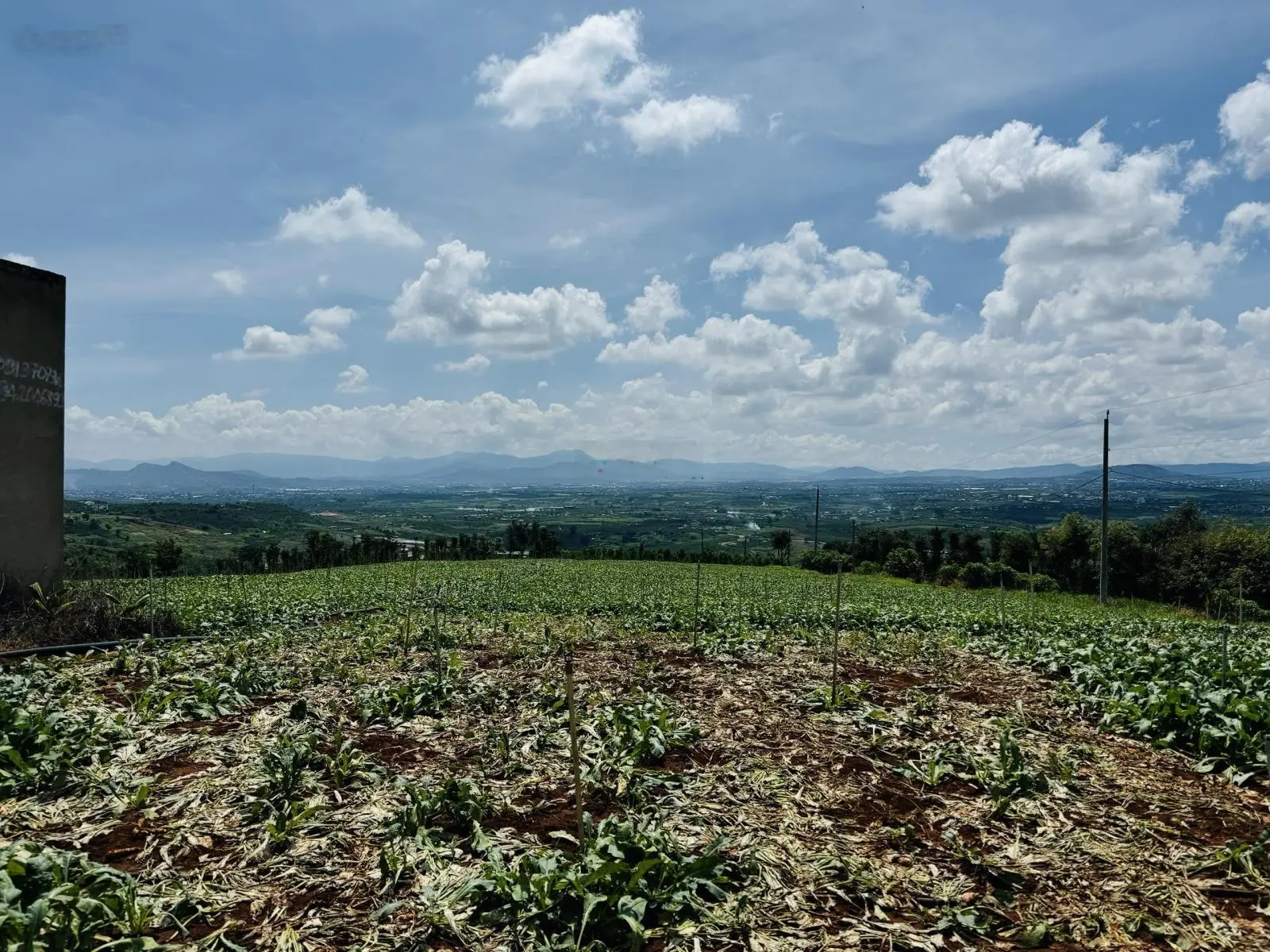 Đất Tân Hà, Lâm Đồng Giá Rẻ - view đẹp, săn mây ngay tại nhà