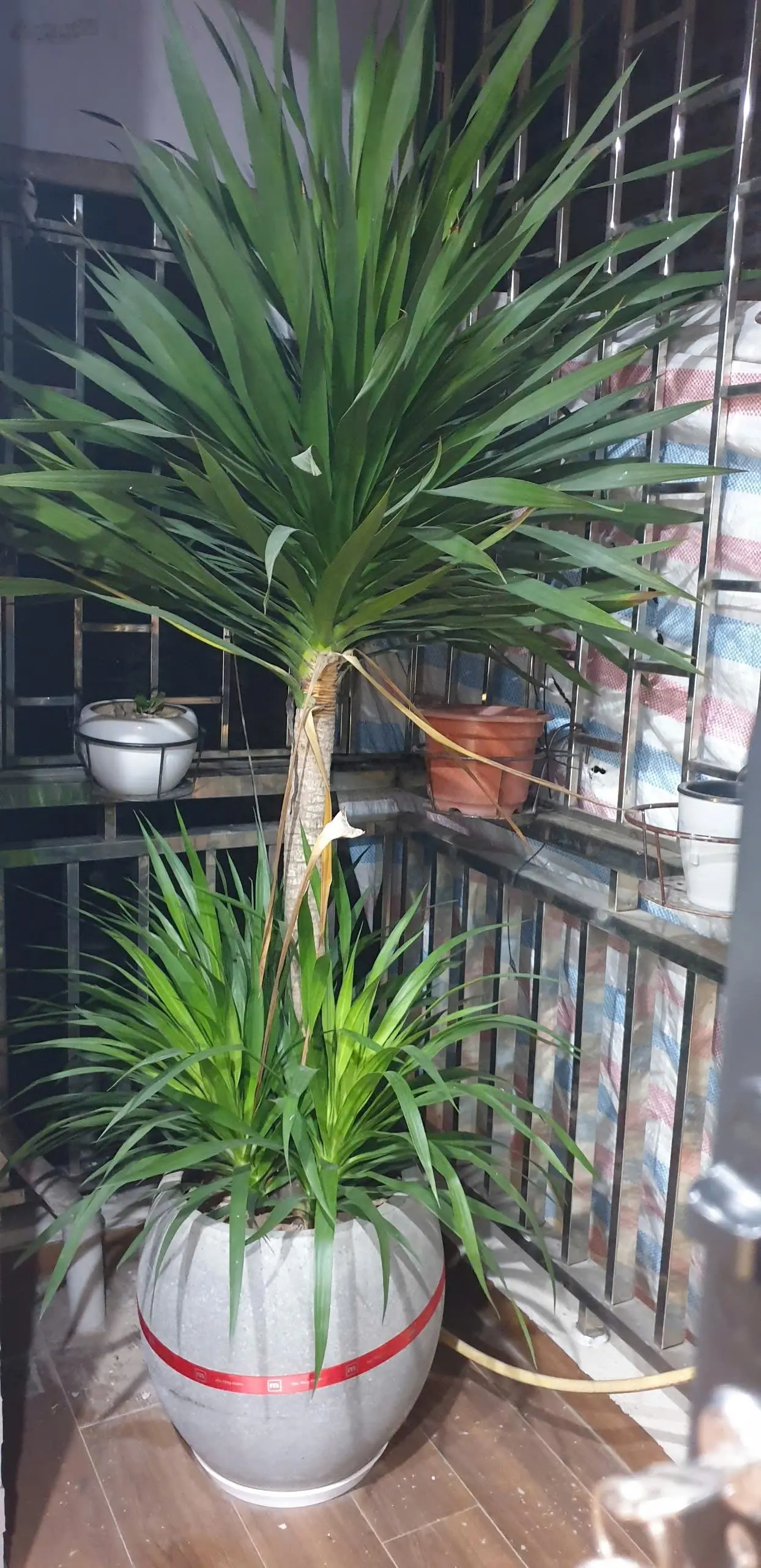 Chính chủ bán gấp nhà tại Làng Cam Cổ Bi, Gia Lâm, Hà Nội. Ngõ bàn cờ ô tô chạy vòng quanh
