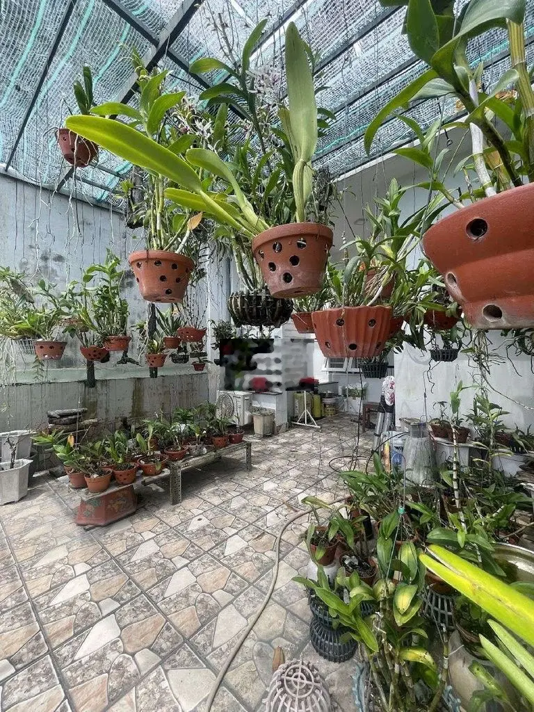 Cần bán nhanh nhà 3 tầng Lý Triện, Thanh Khê
