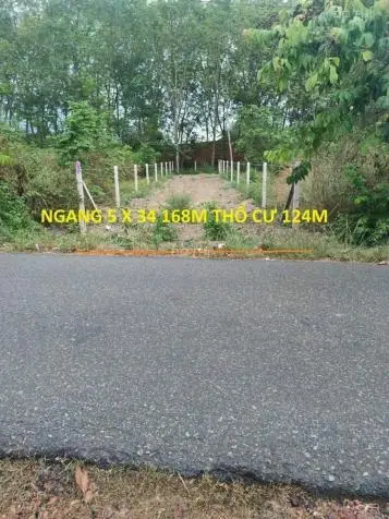 Ngộp! bán lô đất MT đường nhựa Gốc Rưng, dt 168m, full thổ cư, xã An Nhơn Tây, Củ Chi
