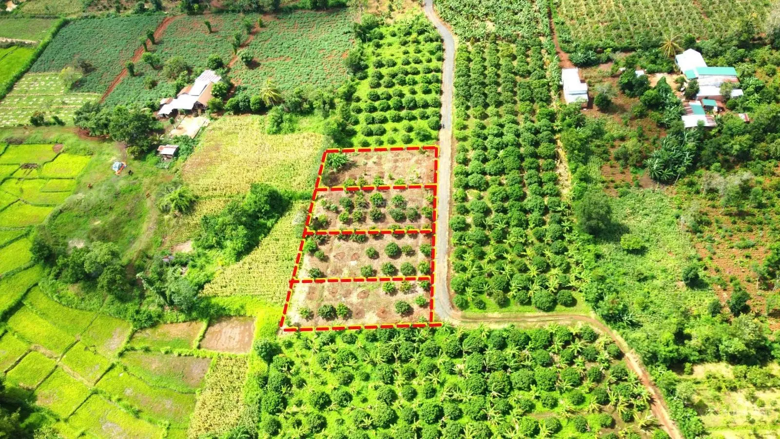 Đất thị trấn Ea Kar mặt tiền 15m giá 240 triệu/lô (vị trí đẹp, dân đông)