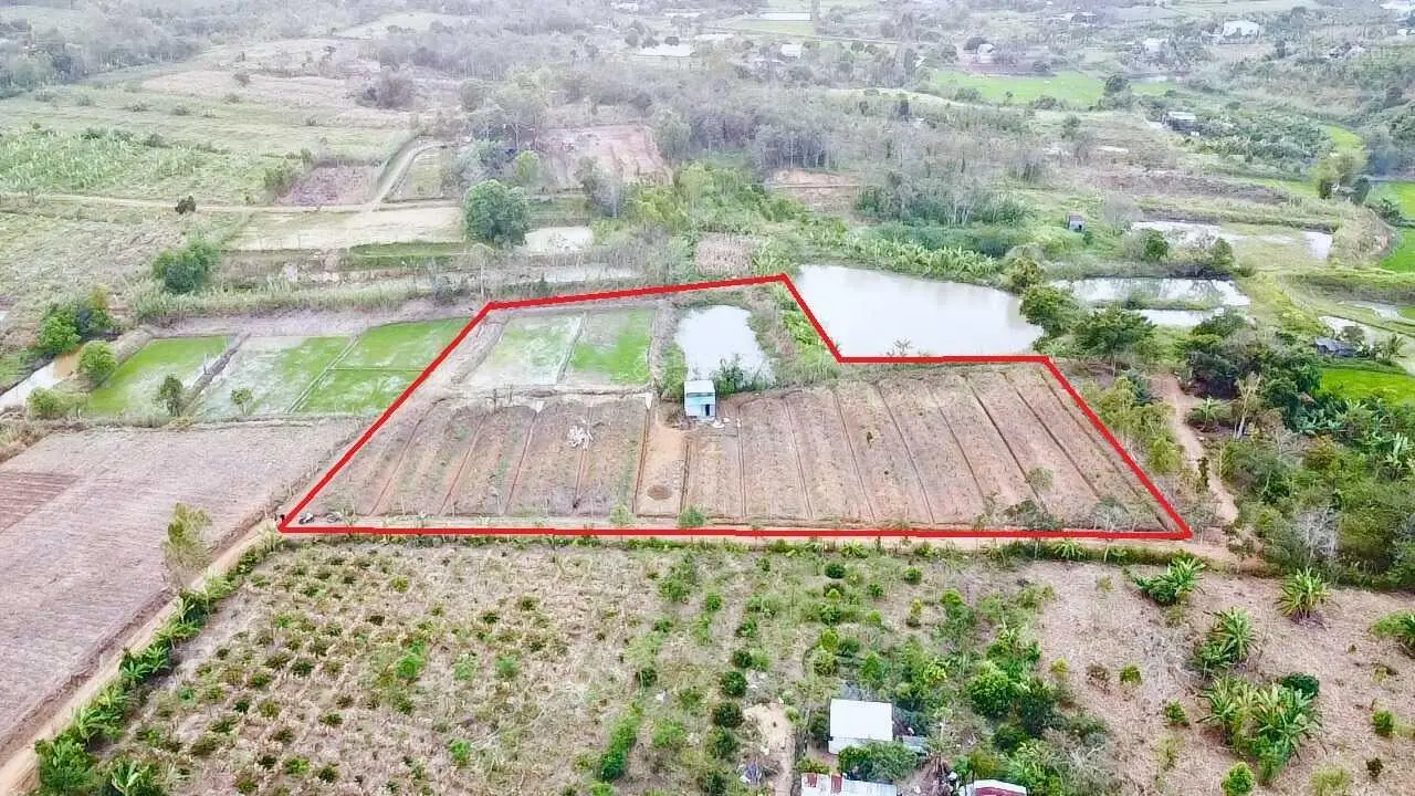 Bán sỉ 10 lô đất vị trí siêu đẹp thị trấn Ea Kar, cam kết giá tốt nhất