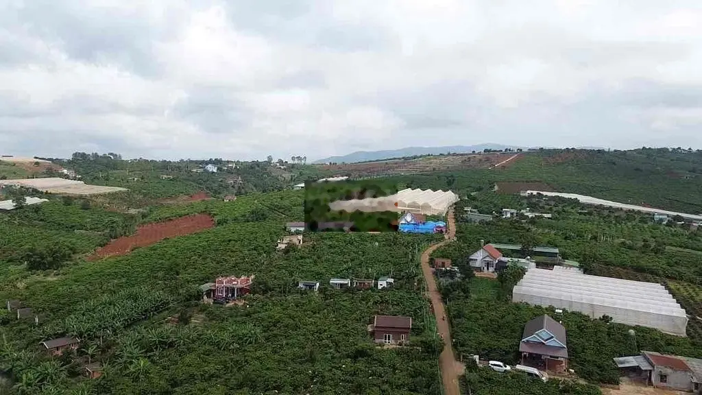 Đất Mê Linh 1000m ngang 21m tặng homestay siêu xinh đang cho thuê 5tr
