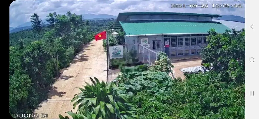 Bán Farm 1.5ha. Ninh Hòa. Duy Linh Lâm Đồng