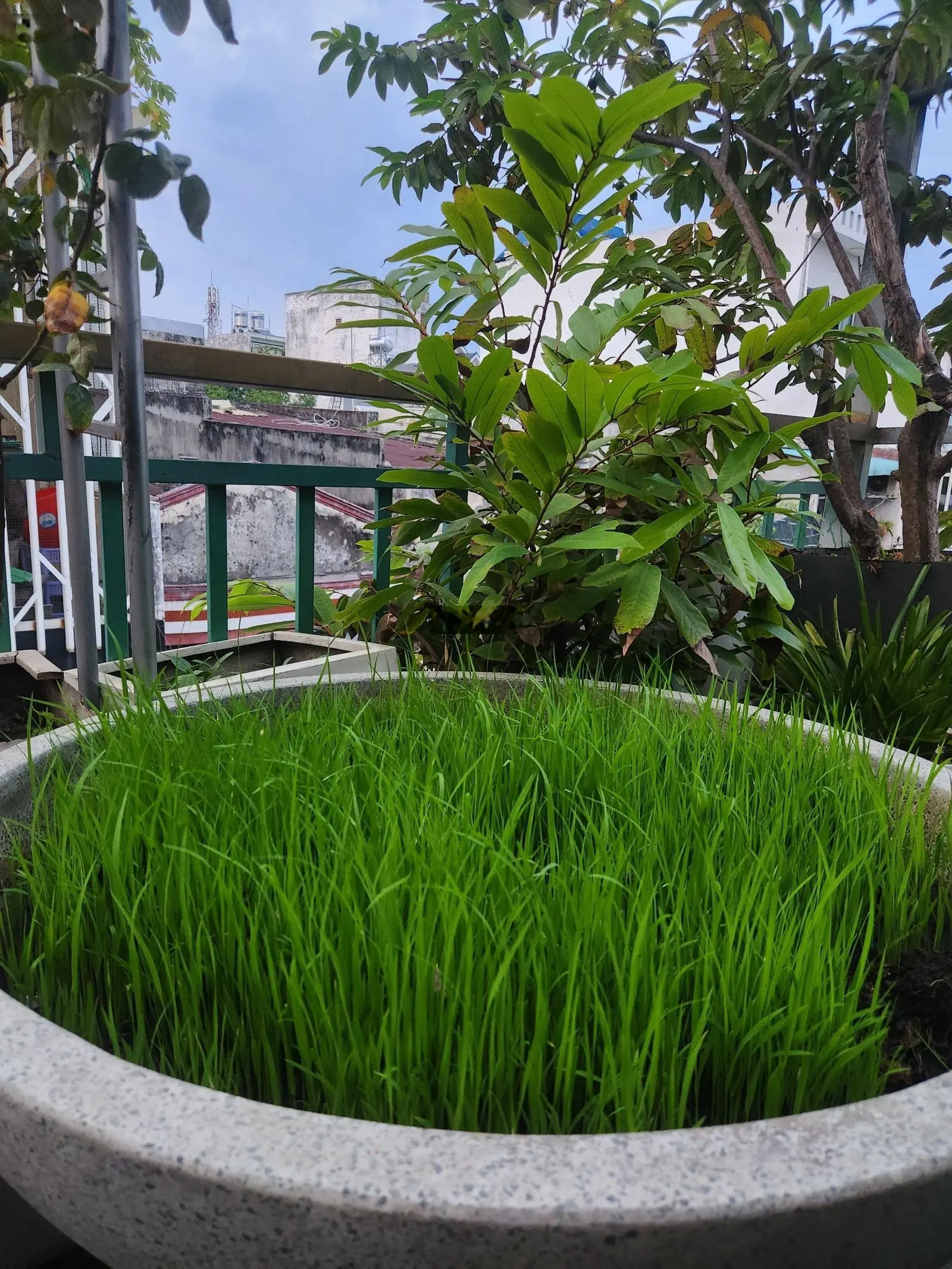 Bán Nhà Riêng 128,6m2, 5tỷ990 tại Đường Hậu Lân 5, Bà Điểm, Hóc Môn, TP.HCM đẹp, nhiều tiện ích