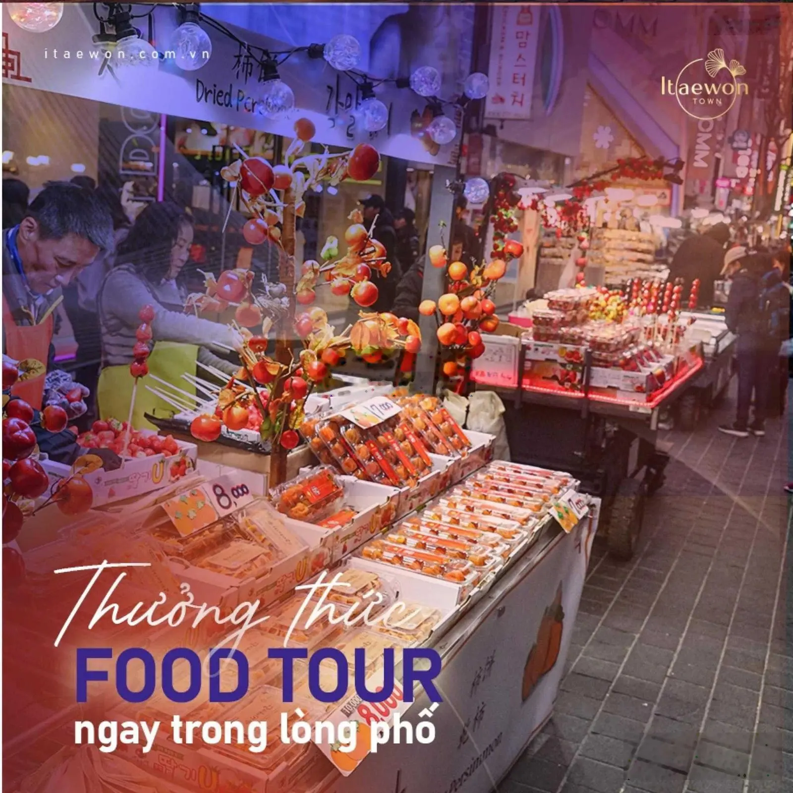 Ra mắt dự án phố Hàn bên đại lộ vàng dành cho nhà đầu tư