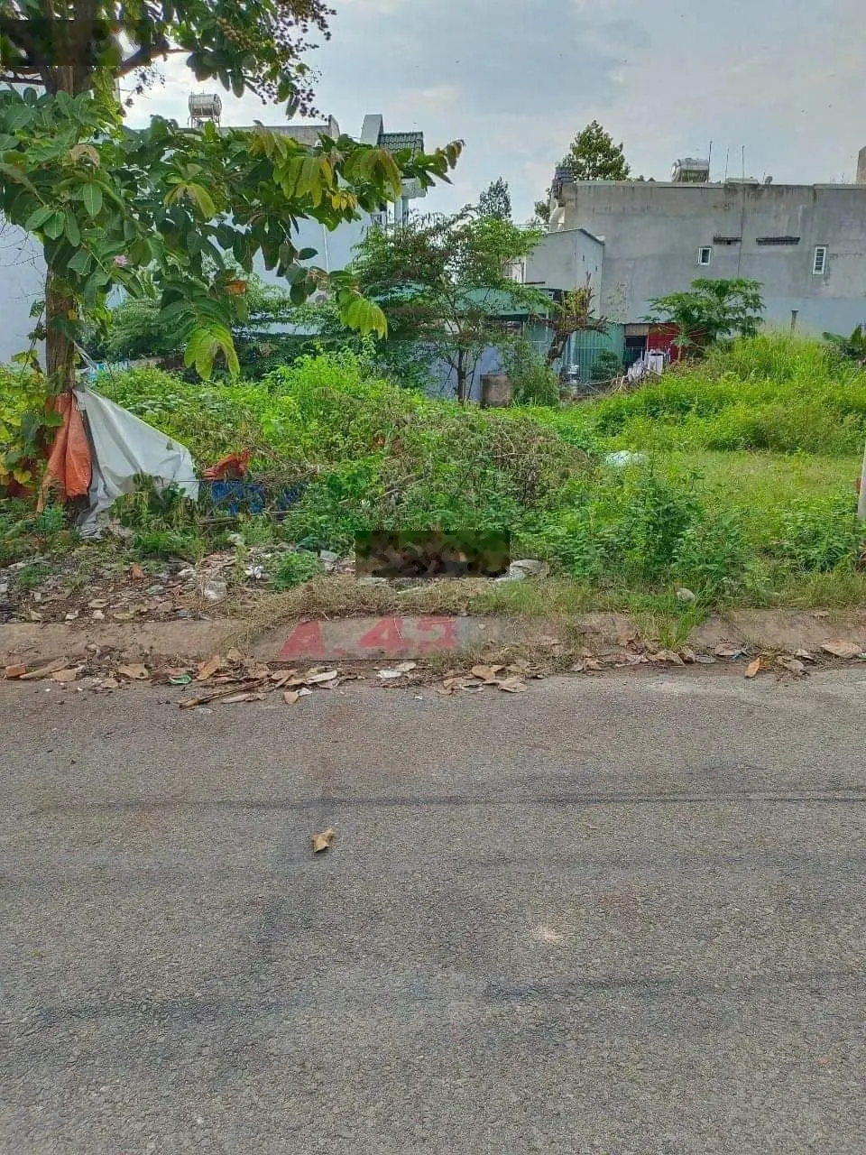 Bán đất TĐC Đông Hòa - Tp.Dĩ An. DT 97m2