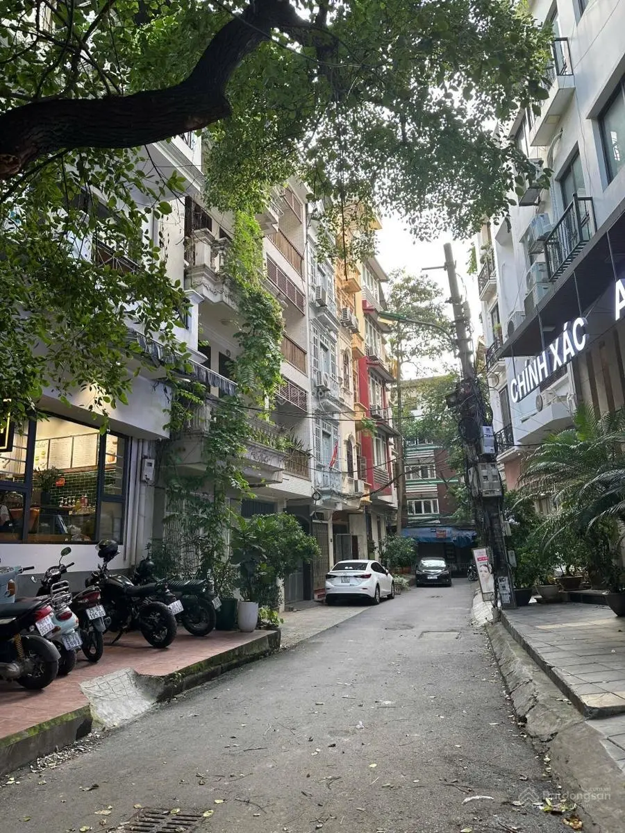 Bán nhà phân lô Trần Quang Diệu, Đống Đa, vỉa hè, kinh doanh, an sinh đỉnh. 42m, 4 tầng, mt 3.8m