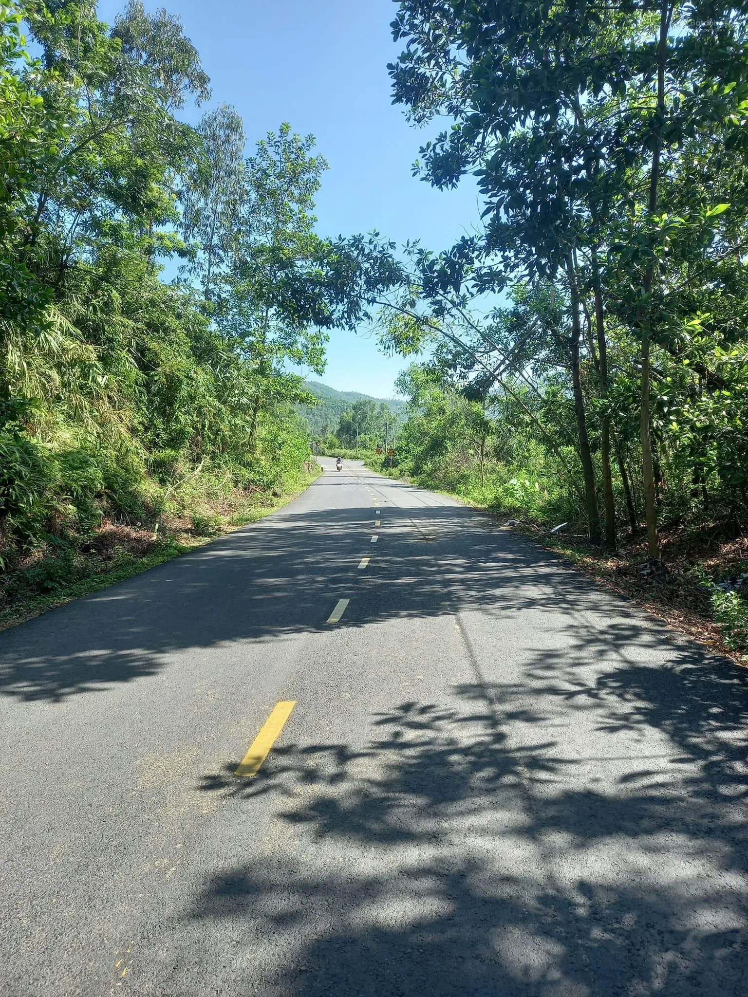 Bán lô đất vô cùng hấp dẫn cạnh khu hậu cần cảng Liên Chiểu, KV có nhiều DÁ DL sinh thái - Hoà Liên