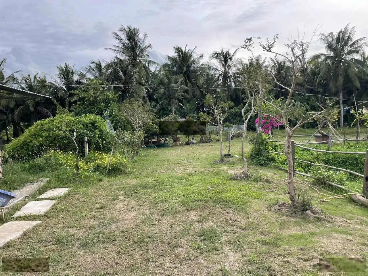 (HIẾM) ĐẤT ĐẸP LÀM NHÀ Ở KẾT HỢP KINH DOANH SÂN VƯỜN2100m2 CÓ 700M2 THỔ CƯ 6 TỶ TIỂU CẦN, TRÀ VINH